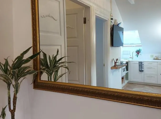 Modern History Apartment